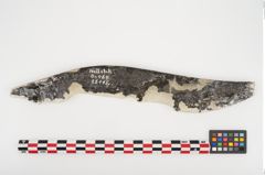 Foto von Eisengriffangelmesser (NHMW-PRAE-025115)